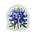 Realistic Texas Bluebonnet Flower,  Sticker  (Peel N' Stick) 